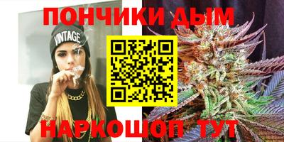 прущие грибы Краснознаменск
