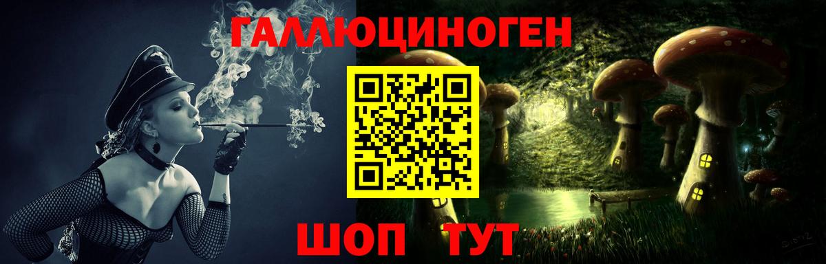Галлюциногенные грибы Psilocybe  Вход с VPN  Златоуст 